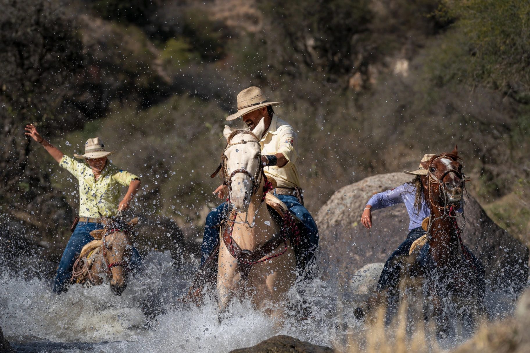 Horseback Ride — moment 2