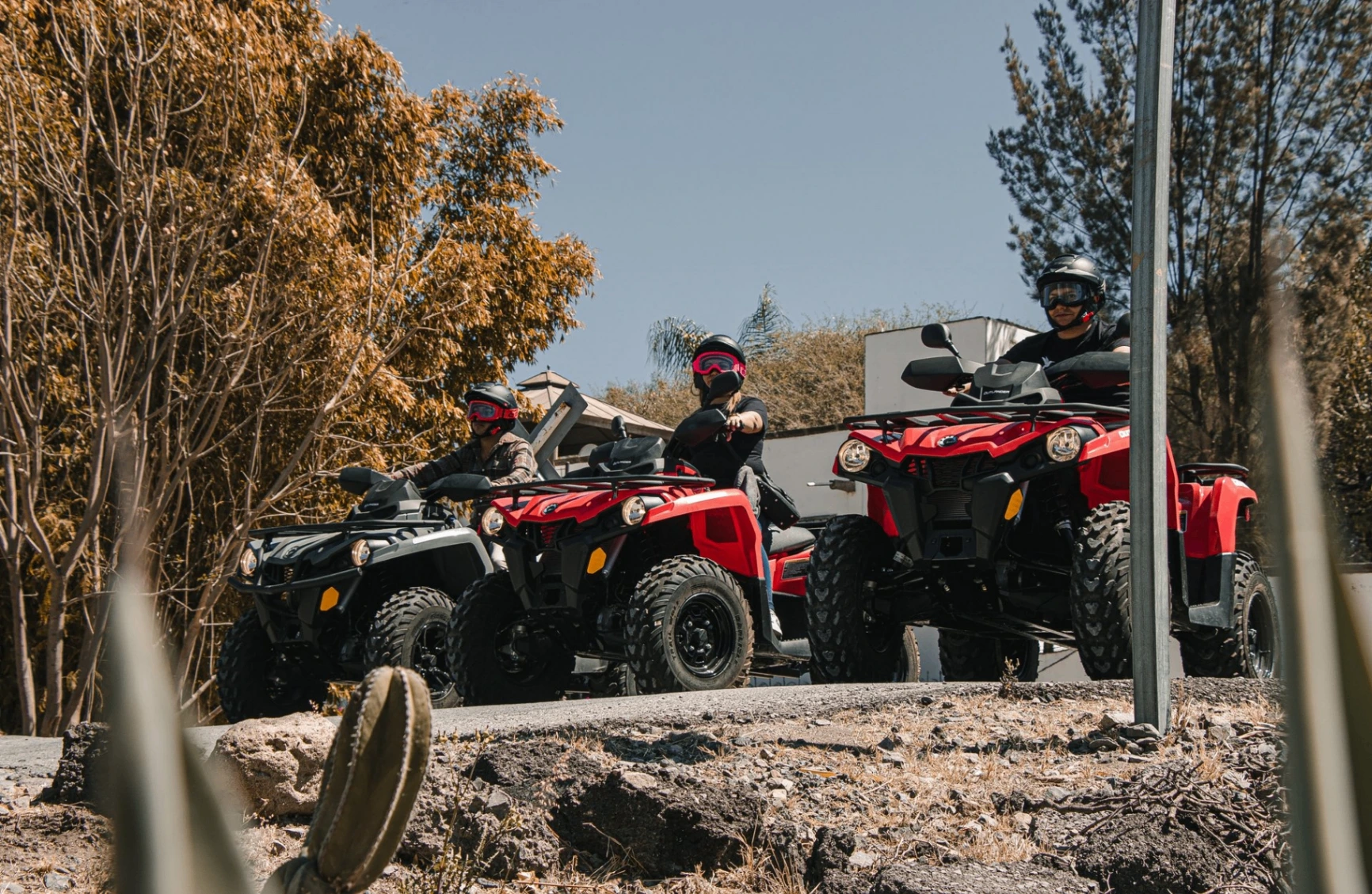 ATV Tour + 7-Zipline Circuit + Hanging Bridge