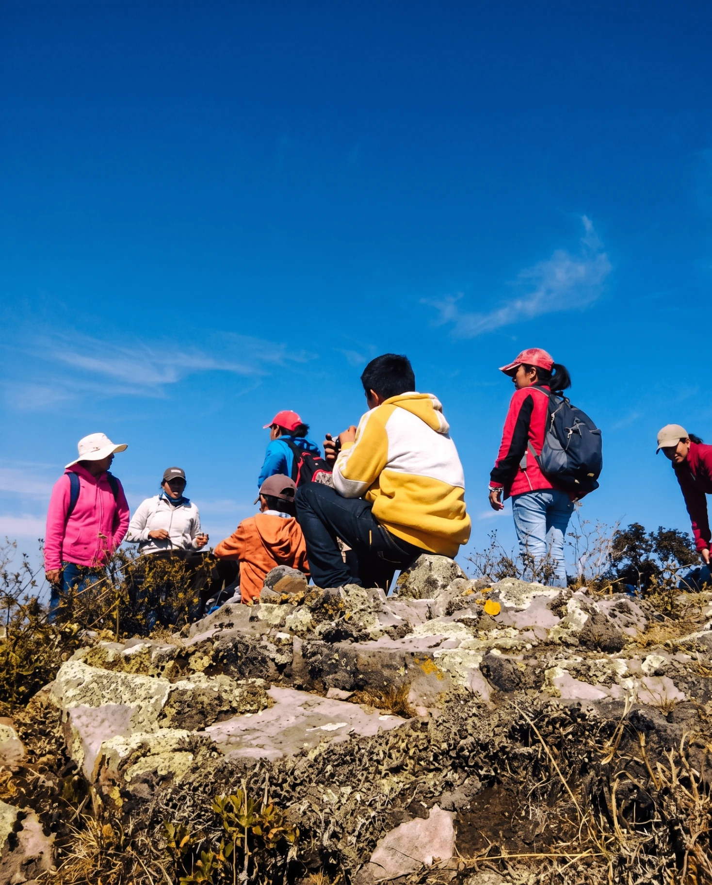 7-Zipline Circuit + Guided Hiking — moment 3