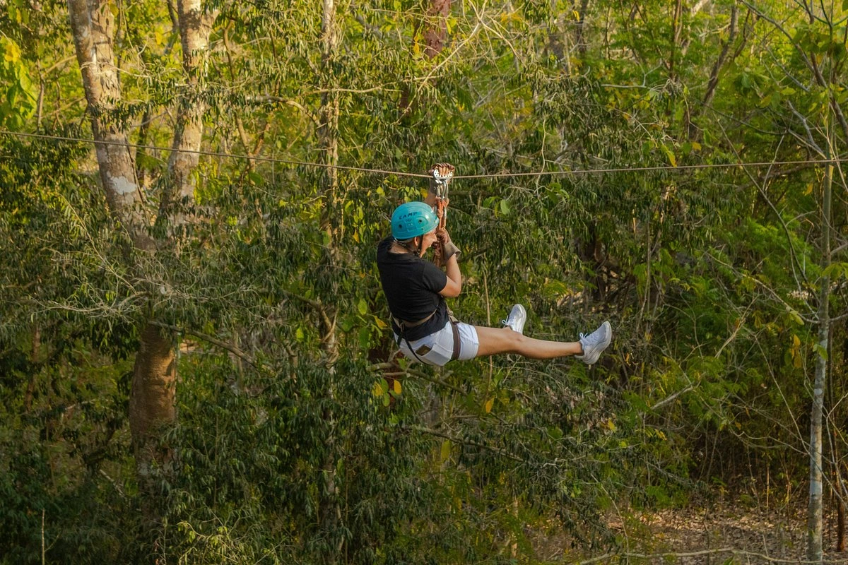 3-Zipline Circuit and Hanging Bridge